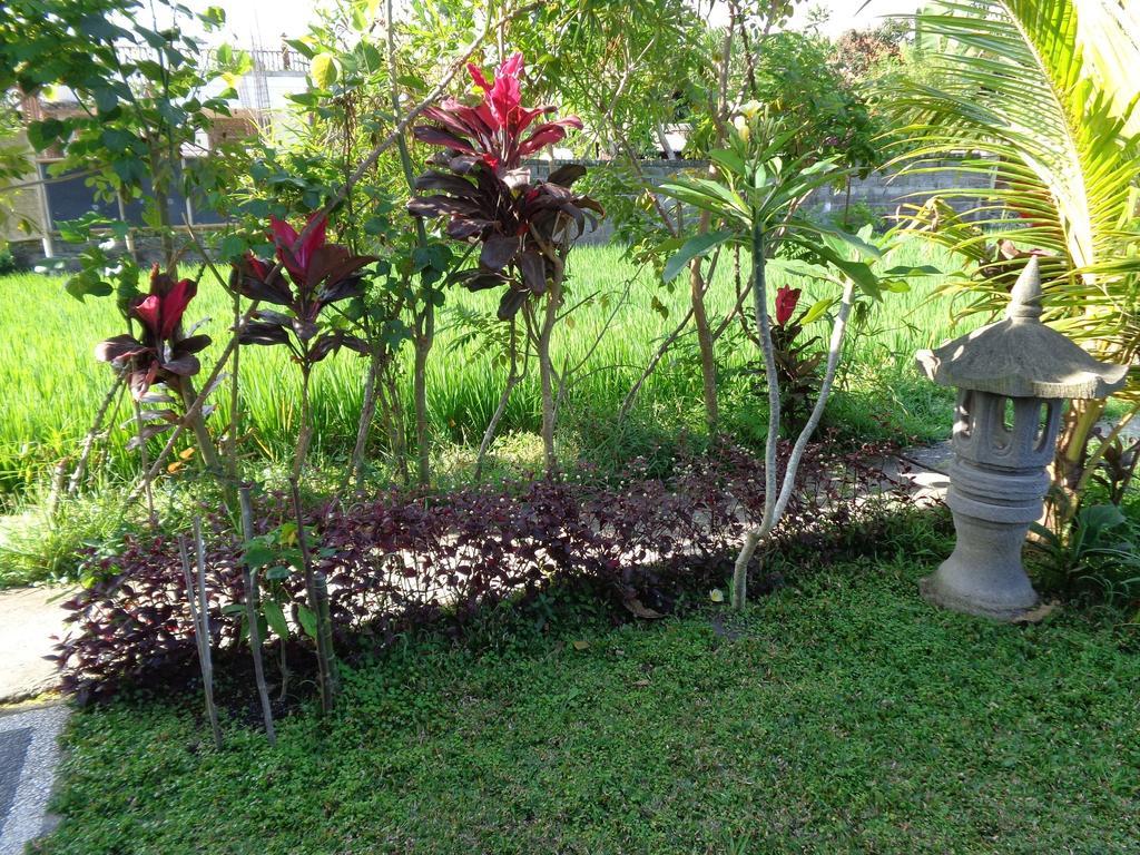 Bening Bungalow Ubud  Exterior photo