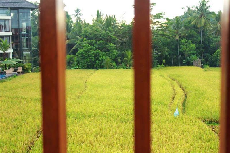 Bening Bungalow Ubud  Exterior photo